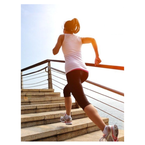 chương trình chạy bộ clb đọc sách hà nội offline