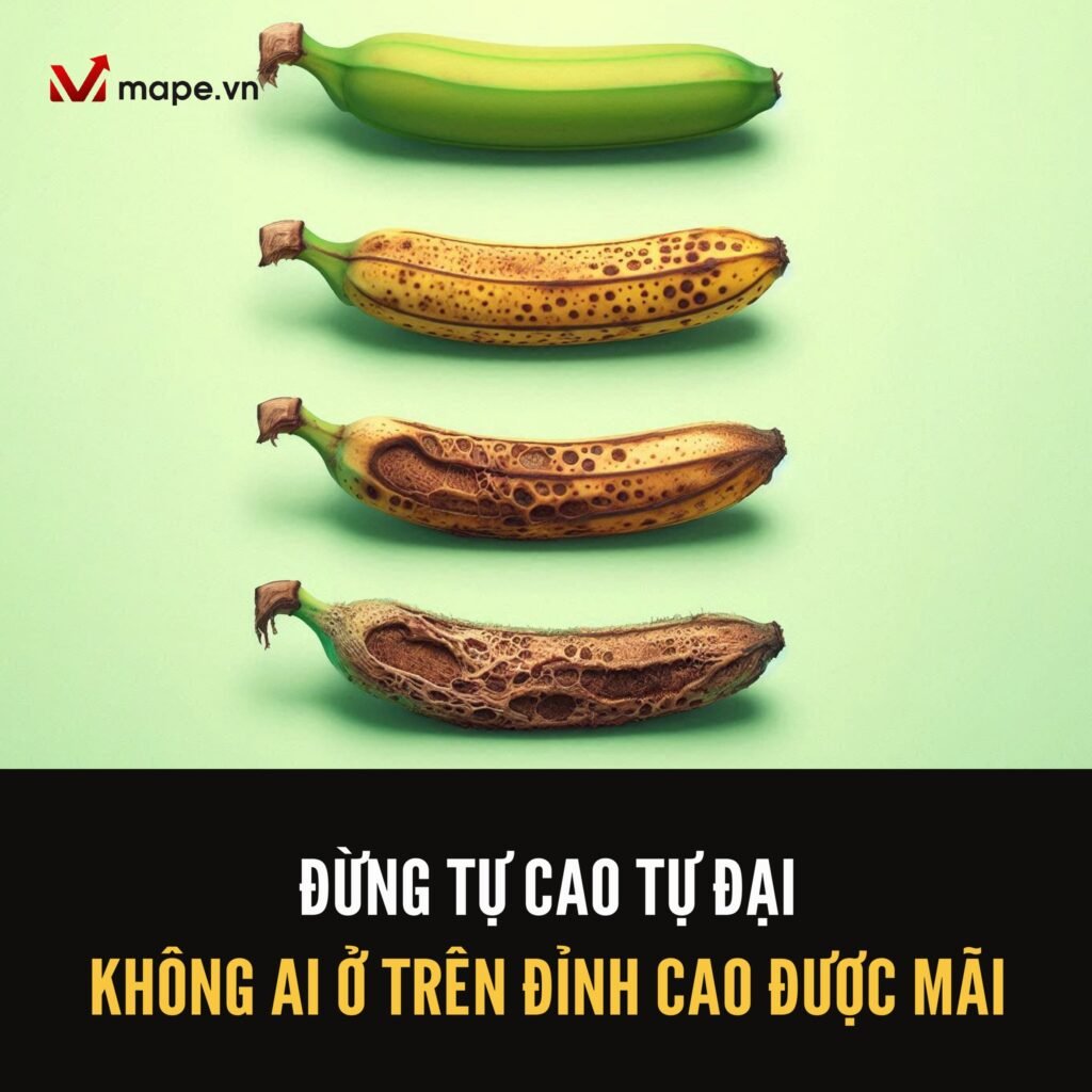 đừng phô trương, đừng tự đắc - Mape academy