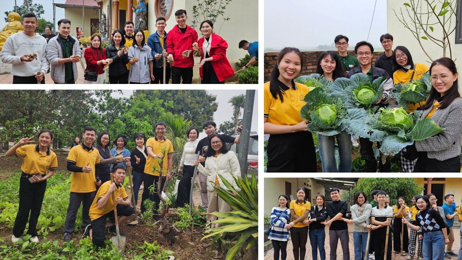 CLB Đọc Sách Hà Nội trồng cây, tặng sách